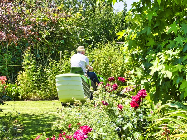 Uomo anziano alla guida di un trattore tosaerba in giardino con fiori — Foto Stock