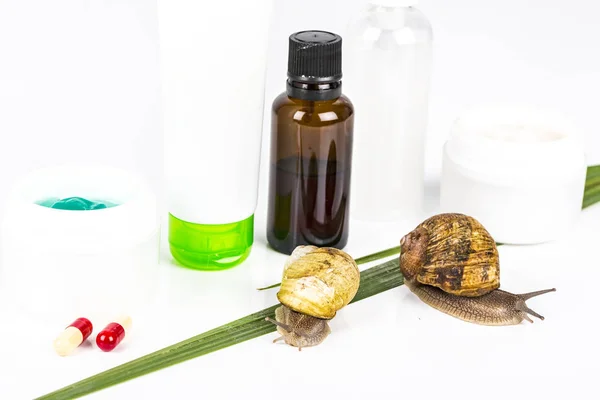 Kosmetik aus Schneckenschleim. sehr gesunde und biologische Produkte. — Stockfoto