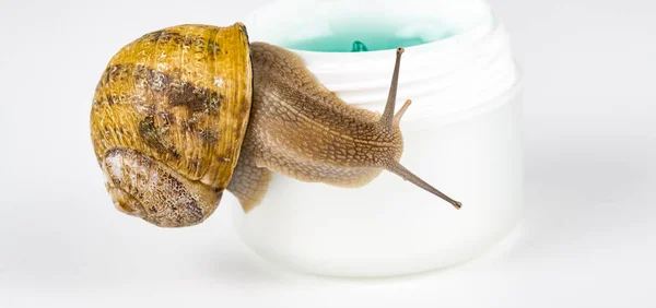 Cosmetics made with snail slime. Very healthy and organic products — Stock Photo, Image