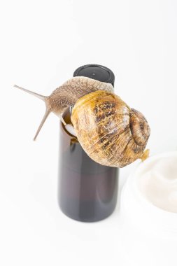 Salyangoz Slime ile yapılan kozmetik. Çok sağlıklı ve organik ürünler