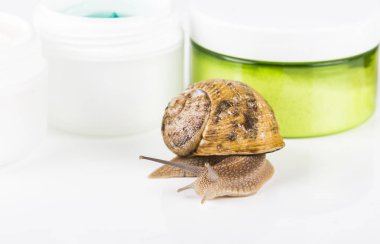 Salyangoz Slime ile yapılan kozmetik. Çok sağlıklı ve organik ürünler