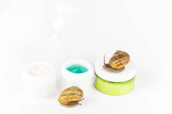 달팽이 점액으로 만든 화장품. 매우 건강하고 유기농 제품 — 스톡 사진
