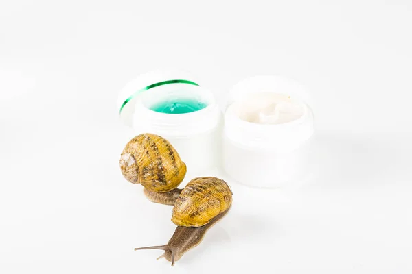 Cosmetics made with snail slime. Very healthy and organic products