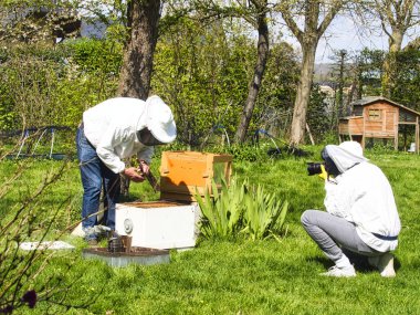 Fotoğrafçı bahçede apiarist fotoğraf çekmek