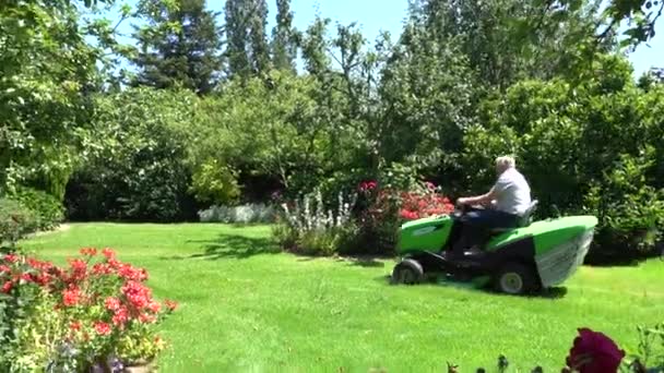 Senior Tuinman Ride Grasmaaier Maaien Van Gras — Stockvideo