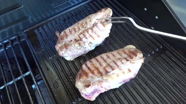 Magret Canard Sur Brochettes Cuites Sur Barbecue Gaz — Video