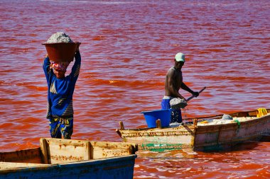 SENEGAL, AFRICA - MARSCH Circa, 2016. Kimliği belirsiz siyah Afrikalı kadın ve erkek Senegal 'deki Pembe Göl' de çiftçinin denizden tuz almaya geldiği yerde. Çok zor bir iş. Canlı renkler