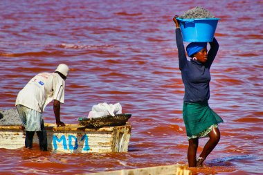 SENEGAL, AFRICA - MARSCH Circa, 2016. Kimliği belirsiz siyah Afrikalı kadın ve erkek Senegal 'deki Pembe Göl' de çiftçinin denizden tuz almaya geldiği yerde. Çok zor bir iş. Canlı renkler