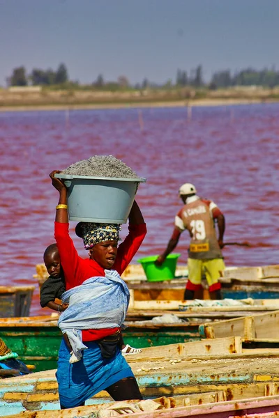 SENEGAL, AFRICA - MARSCH Circa, 2016. Kimliği belirsiz siyah Afrikalı kadın ve erkek Senegal 'deki Pembe Göl' de çiftçinin denizden tuz almaya geldiği yerde. Çok zor bir iş. Canlı renkler