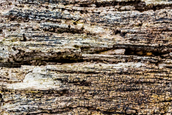 Contexte Bois Fissure Texturé Très Ancien Avec Des Lignes Ressources — Photo