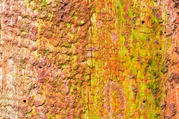 Fond Vieux Bois Fissure Texturé Ressources Graphiques — Photo