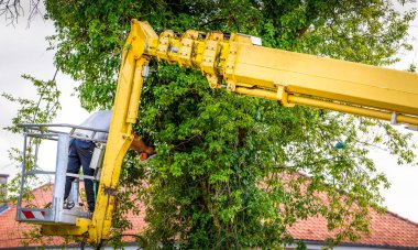 Sarı asansörde havada ağaççı adam, kontrollü sepet, ellerinde elektrikli testereyle ölü kiraz ağacı kesiyor. Tarım ve güvenlik işi kavramı