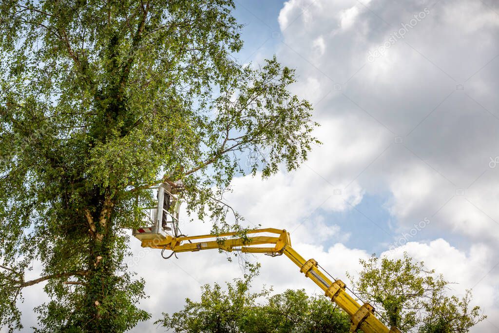 Arborist man in the air, cloudy sky, on yellow elevator, basket with controls, cutting off dead cherry tree, with chain saw in the hands. Concept of agriculture and safety work