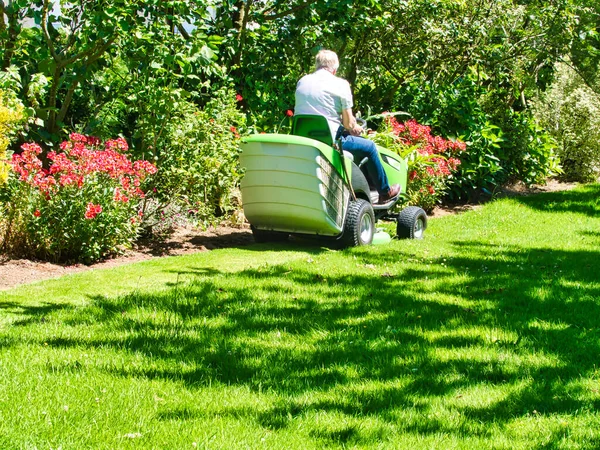 Senior Man Kör Traktor Gräsklippare Trädgården Med Blommor Grön Och — Stockfoto