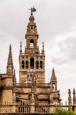 Seville, İspanya 'daki Katedral' in çan kulesini kapatın. Ünlü turizm merkezi.