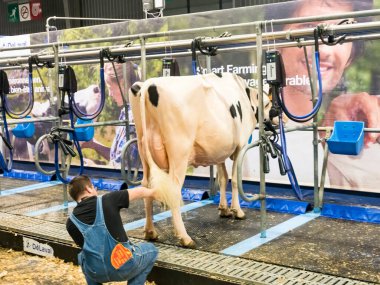 PARIS, FRANCE - MARCH Circa, 2020. Milking parlour robotics at the International Agriculture Meeting at Paris, France. Using by farmers, to milk cows before or after competition. Modernisation of agriculture farmers concept clipart