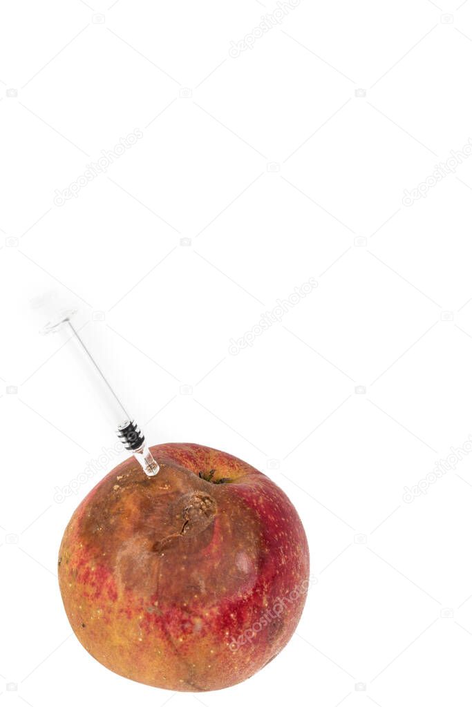 Close-up Boring trace of a codling moth Cydia Pomonella, in a wormy apple. On white background. With syringe needle. Concept non organic food and genetically modified organism. Place to write