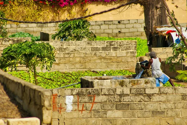 Senegal África Março Circa 2016 Homens Não Identificados Trabalhando Regando — Fotografia de Stock