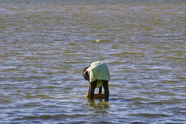 Senegal África Marzo 2016 Circa Escena Vida Rural Largo Costa — Foto de Stock