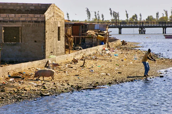 Senegal Africa March 2016 Circa 沿着海岸线的乡村生活场景 伴随着五彩斑斓的小船 各国的穷人 鲜艳的颜色 — 图库照片