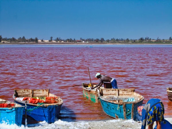 Senegal Africa Marsch Circa 2016 在塞内加尔的平克湖 身份不明的非洲黑人男子和妇女来到那里 农民从海里取出盐 很辛苦的工作 鲜艳的颜色 — 图库照片