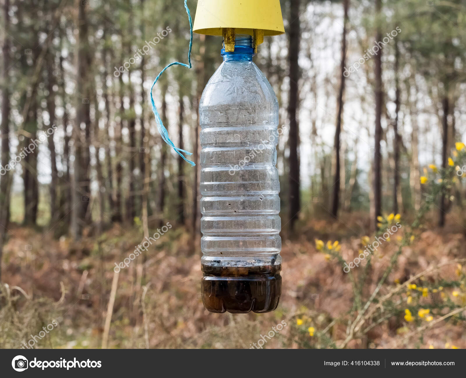 Ecological Olive Fly Trap Plastic Bottle Bait Insects Hanging Tree