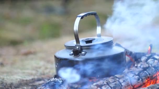 Kokande vattenkokare på elden i skogen — Stockvideo