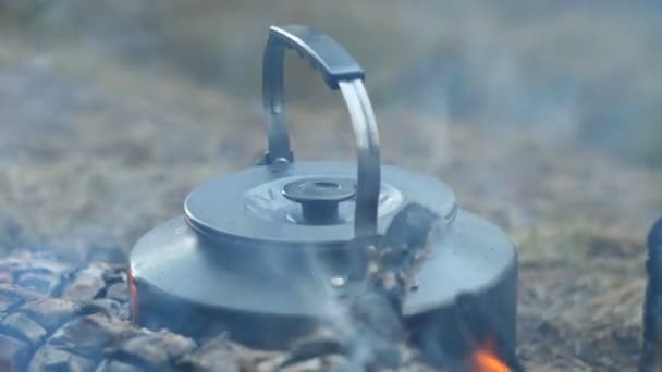 Bouilloire bouillante sur le feu dans les bois — Video