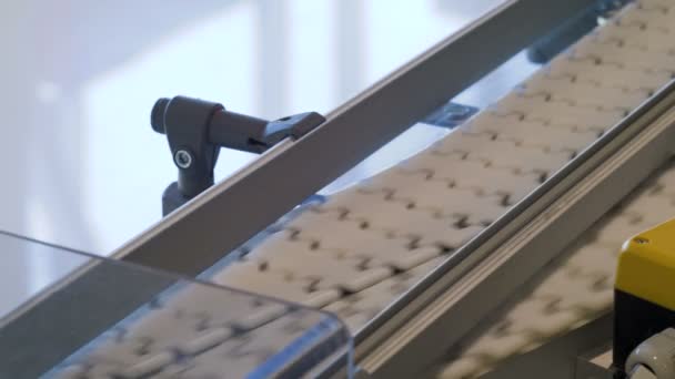 Üretim, ambalajlama teknolojisi çalışmalarını konveyör — Stok video