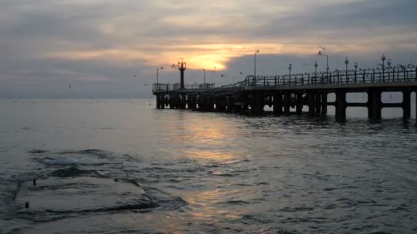 Silhouet van een paar tegen de zee en de vliegende meeuwen — Stockvideo