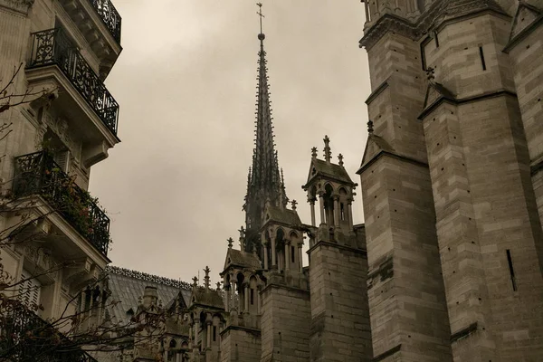 Bizim Bayan Paris Ayakta Yanındaki Kilisesi Çeşitli Yırtıcı Hayvan Heykelleri — Stok fotoğraf
