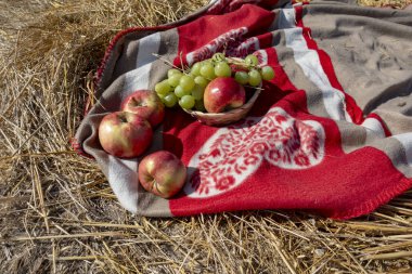 Rus büfe doğada. Elma haystacks arasında veya orman, meyve çeşitli. İlginç bir natürmort