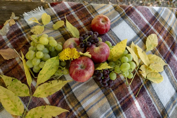俄罗斯自助餐 苹果之间的干草堆或在森林中 各种水果 只是一个有趣的静止不动的生活 — 图库照片