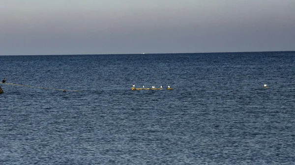 Evlenecektir volkan fethi 5200 metre yükseklikte çekim. Meksika'dan ilginç fotoğraflar