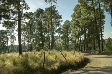 Evlenecektir volkan fethi 5200 metre yükseklikte çekim. Meksika'dan ilginç fotoğraflar