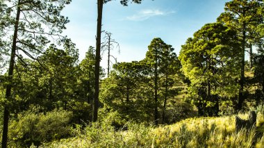 Evlenecektir volkan fethi 5200 metre yükseklikte çekim. Meksika'dan ilginç fotoğraflar