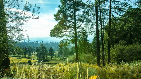 Evlenecektir volkan fethi 5200 metre yükseklikte çekim. Meksika'dan ilginç fotoğraflar