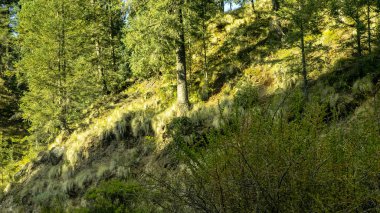 Evlenecektir volkan fethi 5200 metre yükseklikte çekim. Meksika'dan ilginç fotoğraflar