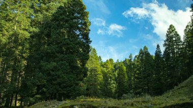 Evlenecektir volkan fethi 5200 metre yükseklikte çekim. Meksika'dan ilginç fotoğraflar
