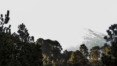 Meksika Dağları kayalar ve ormanlar, geçilmez yollar vardır. İlginç yer