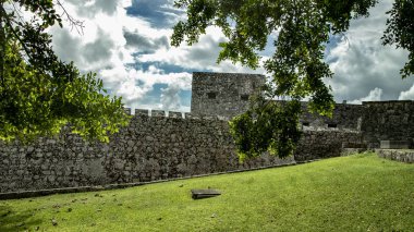 Yolun ormanda, ananas ve tabii ki, renkleri tam ihtişamı. Meksika Gizemler ve göksel sevindirdi bir ülkedir