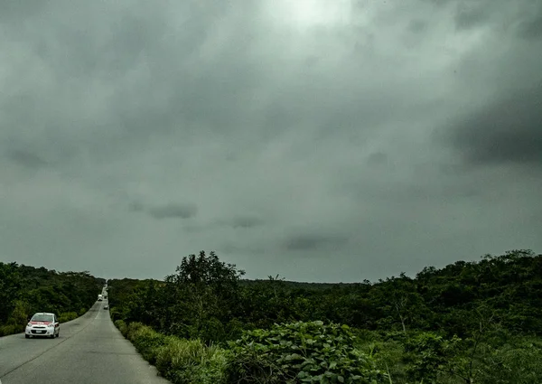 Road Jungle Pineapples Course Full Splendor Colors Mexico Country Mysteries — Stock Photo, Image