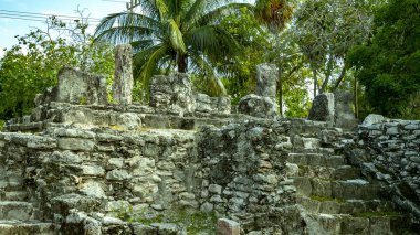 El Meko antik şehir Cancun içinde yer alır. Bizim model ve resimleri şehir kalıntıları