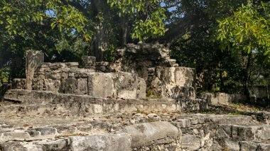 El Meko antik şehir Cancun içinde yer alır. Bizim model ve resimleri şehir kalıntıları