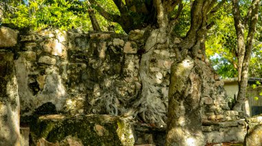 El Meko antik şehir Cancun içinde yer alır. Bizim model ve resimleri şehir kalıntıları