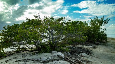 Çoğu doğa ve gökyüzü beyaz Adası