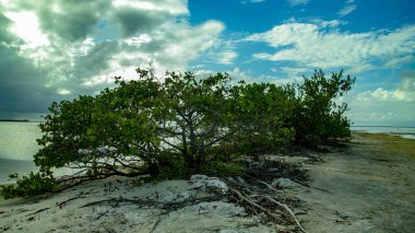 Çoğu doğa ve gökyüzü beyaz Adası