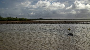 Heron deli aboute olan yemekleri'nın