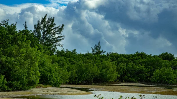 Çoğu doğa ve gökyüzü beyaz Adası