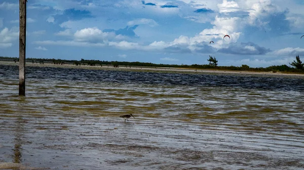 Besineulaşabilen deniz Seawave. Çoğu gökyüzü, çoğu plaj